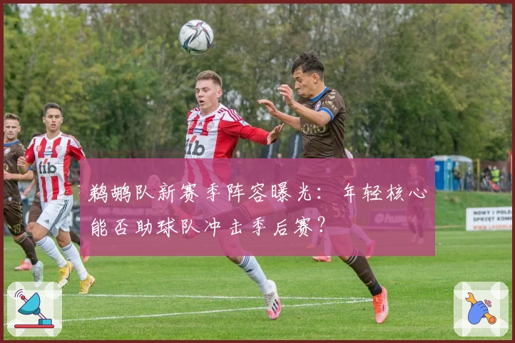 鹈鹕队新赛季阵容曝光：年轻核心能否助球队冲击季后赛？