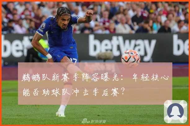 鹈鹕队新赛季阵容曝光：年轻核心能否助球队冲击季后赛？